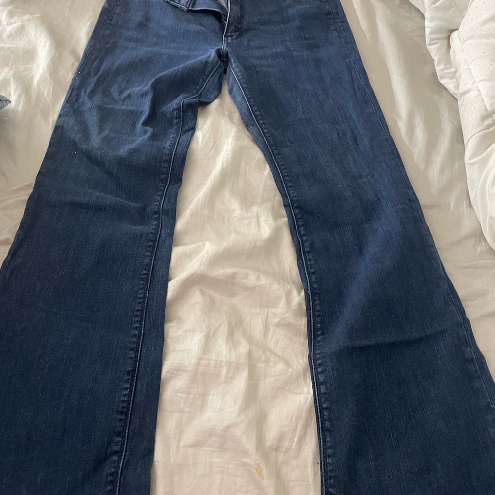 Express Blue Flare Wide Leg Jeans